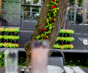 plantings outside the building